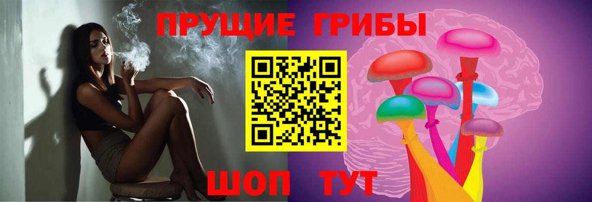 Камень-на-Оби  Галлюциногенные грибы прущие грибы  Вход с VPN  Псилоцибиновые грибы Cubensis 